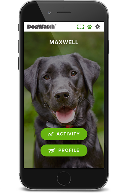 DogWatch of Greater Kansas City, Raymore, MIssouri | SmartFence WebApp Image