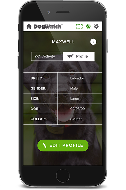 DogWatch of Greater Kansas City, Raymore, MIssouri | SmartFence WebApp Image